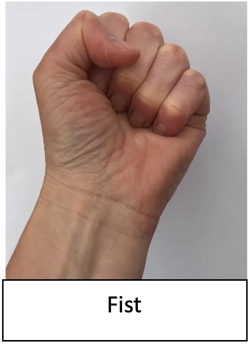 Fist