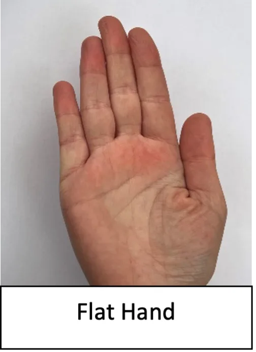 Flat_hand