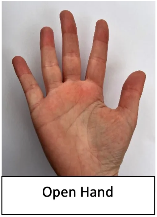 Open_hand